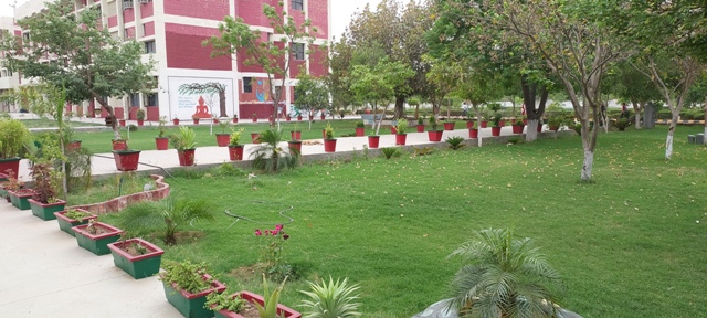 College Banner 3